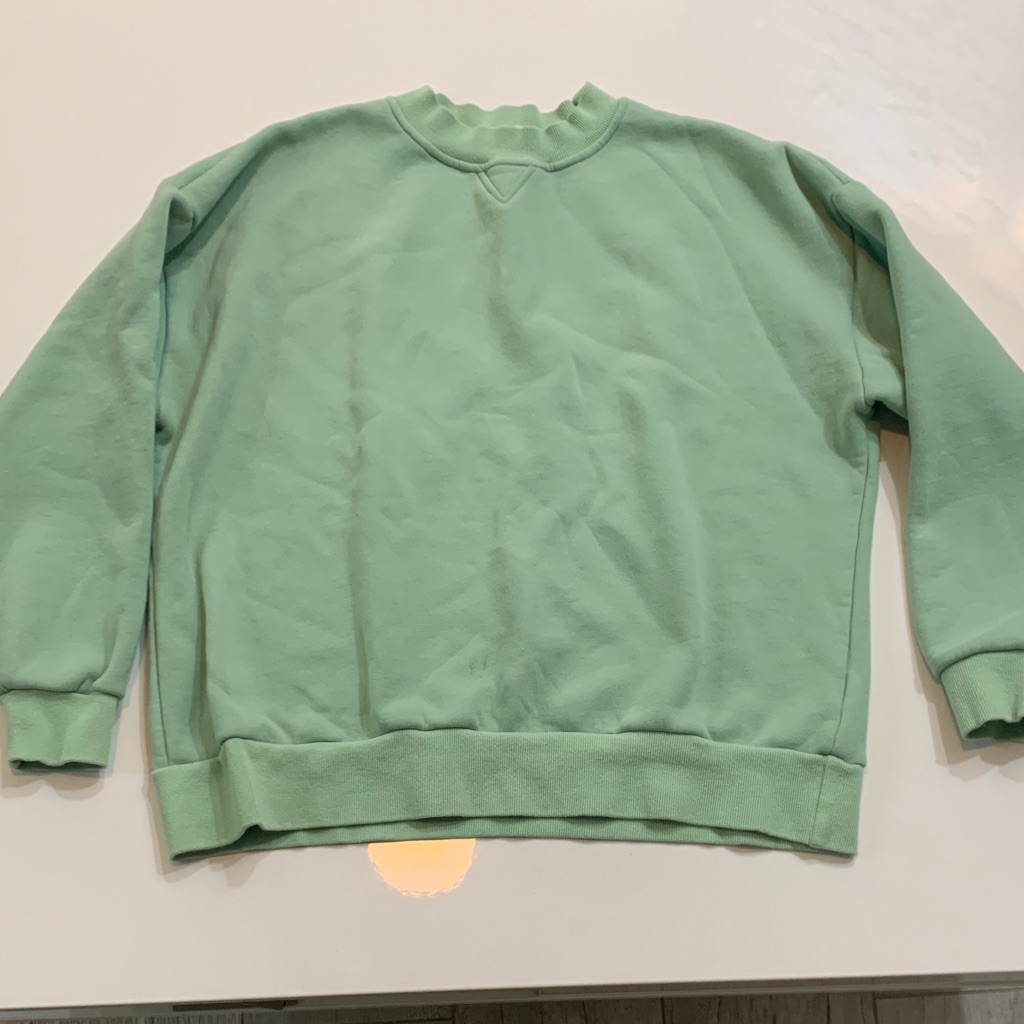 Yllw | Mint Green “I Told My Mom About You” Graphic Sweatshirt | Sz Medium - Euc — image 7 of 8